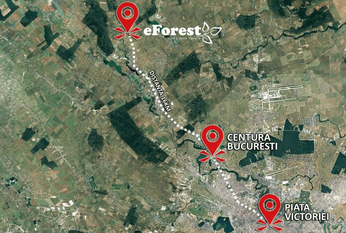 Crevedia, eForest, 300 loturi de casa, la padure, direct din DN.