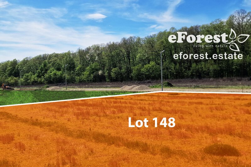 Crevedia, eForest, 300 loturi de casa, la padure, direct din DN.