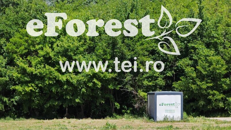 Crevedia, eForest, 300 loturi de casa, la padure, direct din DN.