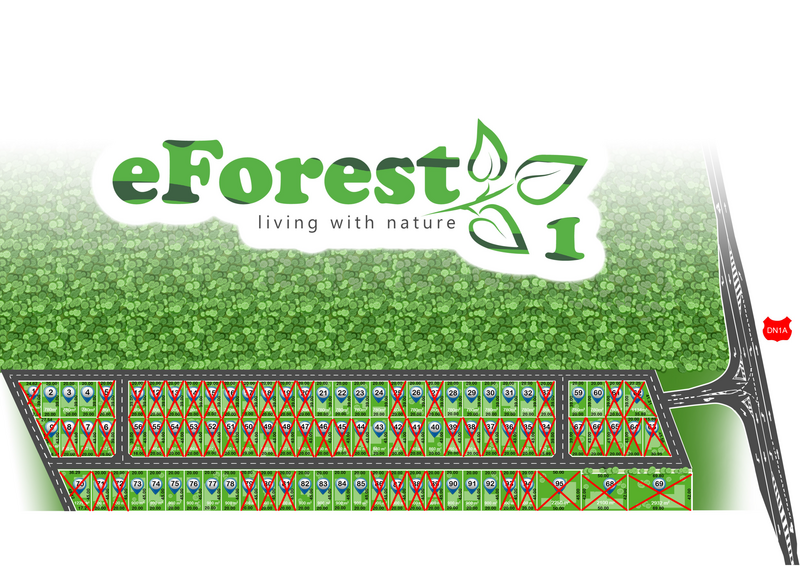 Crevedia, eForest, 300 loturi de casa, la padure, direct din DN.