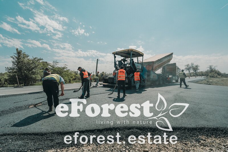 Crevedia, eForest, 300 loturi de casa, la padure, direct din DN.