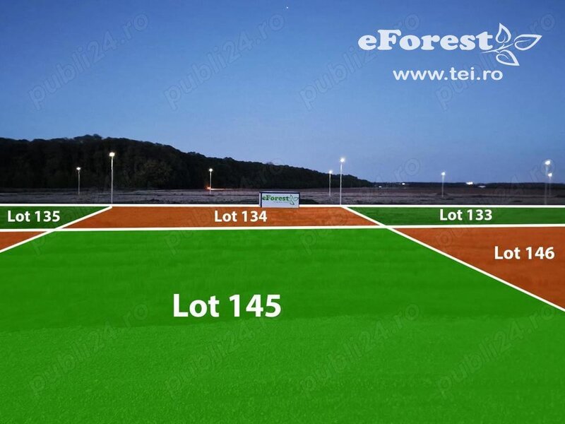 Crevedia, eForest, 300 loturi de casa, la padure, direct din DN.